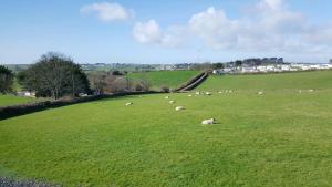 Double Room with Garden View room in Marthys Bed & Breakfast