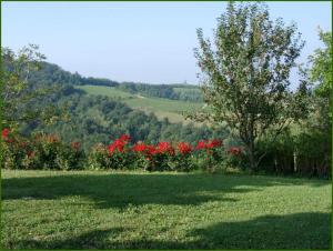 Tenuta di Costa Prà
