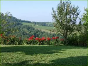 Tenuta di Costa Prà - Belvedere Langhe