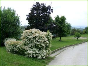 Tenuta di Costa Prà