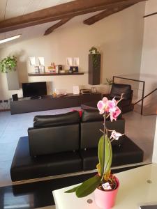 Apartement Casa Vacanze Ca' Donizetti Bergamo Itaalia