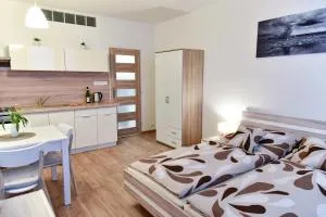 Apartmán-Třeboň-centrum - Číměř