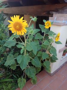 Appartamento in zona residenziale img16