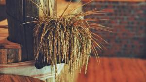 Joy House Indigo Batik