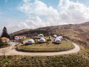 Natura Glamping