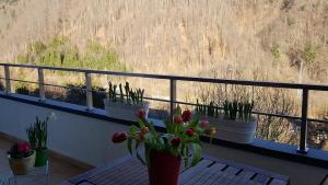 George Apartment Sinaia