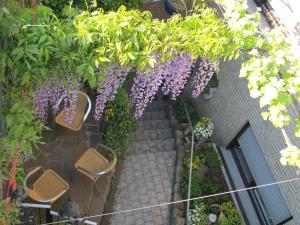Pension Geva