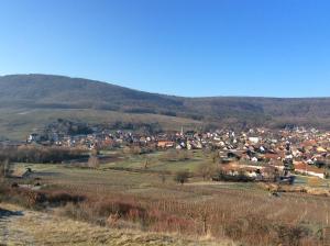 B&B / Chambres d'hotes La Longere des Capucines : Studio avec Vue sur Jardin