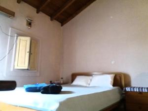 Elm Tree Dream Catcher