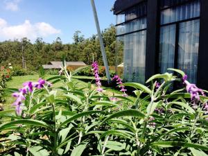 Kingsford Residences