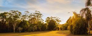 Malanda Lodge