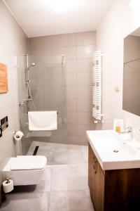 Double Room room in APART HOTEL 12