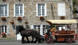 B&B / Chambres d'hotes Domfront - Numero CINQ : photos des chambres