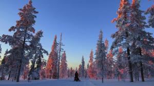 Juhannuskalliontie, 96400 Rovaniemi, Finland.