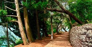 ZEN Apartment Pržno