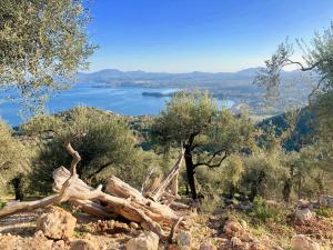 House Teigan 'Breath Taking Views! Corfiot Riviera' Spartilas Corfu Greece Corfu Greece