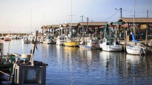 Campings Domaine Les Abberts : photos des chambres