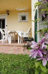 FausztLand Apartments