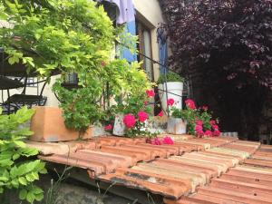 B&B / Chambres d'hotes Skylark Bed & Breakfast : photos des chambres