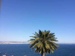 Appartements Cannes Terrace Beach Front & Sea view : photos des chambres