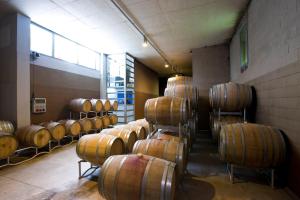 Amalia Cascina in Langa