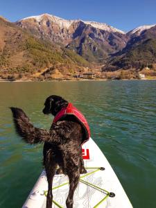 Ledro Lake Suite "Pur"