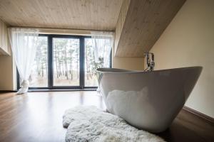 Jūras Krasti Romantika