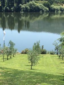 Casa da Horta - Ubytování bez kategorie ve městě Peso da Régua