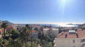 Appartements **** Panoramic Top Roof in Beaulieu **** : photos des chambres