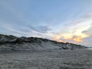 Den Skaldede Kok Guesthouse