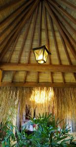 Mangga Bungalow