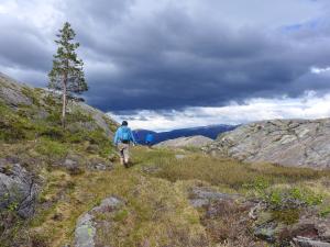 Velfjord Camping & Hytter