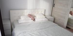 Apartament Rosenau