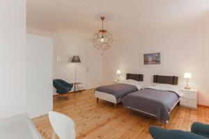 Spacious Sunny Apartment in Oldtown