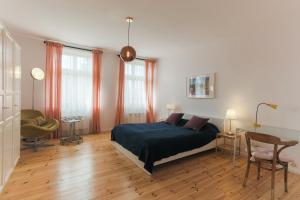 Spacious Sunny Apartment in Oldtown