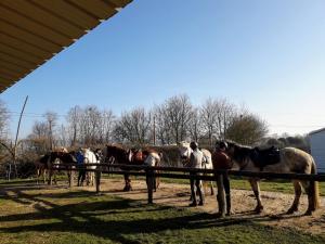 B&B / Chambres d'hotes la ferme des tertres : photos des chambres
