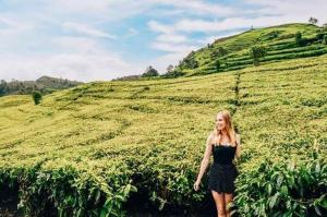 Buton Backpacker Lodge