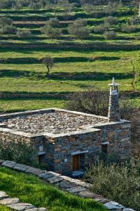 Under Royal Oaks Kea Greece