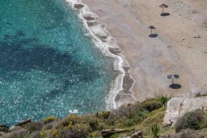 Under Royal Oaks Kea Greece