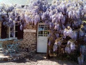 Maisons de vacances Gite Bleu : photos des chambres