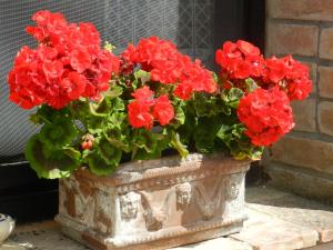 Agriturismo Montegonfoli