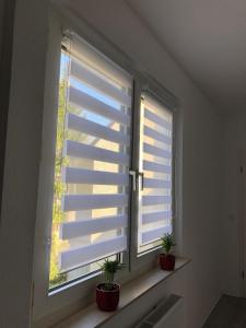 Helle Ferienwohnung an der Rheinpromenade 50 qm