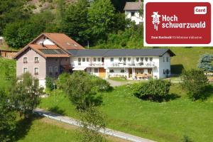 Steiert Panorama Apartments Todtnau