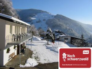 Steiert Panorama Apartments Todtnau