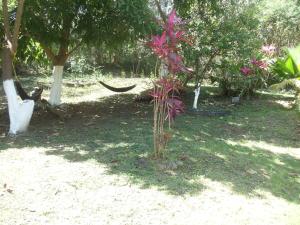 Fajardo Peaceful Place