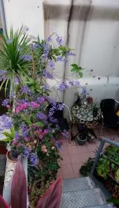 Pulisen Homestay - Shih-i-fen