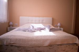 Two Bedroom Apartment Downtown Ivanovi