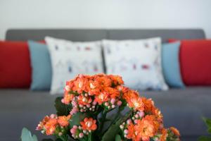 Blue Apartment IUN S0079 img6