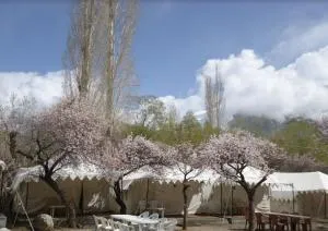 Royal Deluxe Camp & Resort, Hunder- Nubra - Deskit