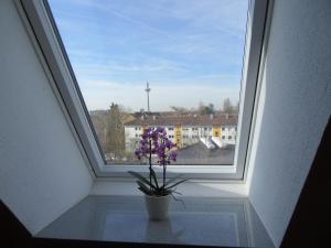 Book Haus Aja Textor Goethe Frankfurt Am Main 2019 Prices From